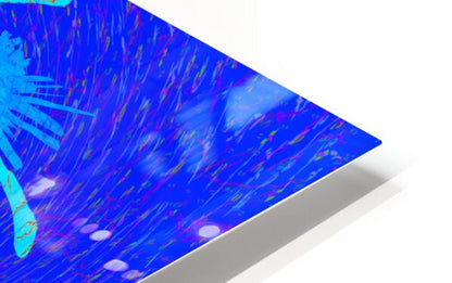 2317917 :: HD Sublimation Metal Print
